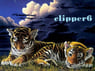 clipper6