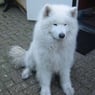 bonnymar