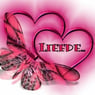willeke48