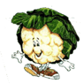 Bloemigkooltje