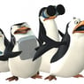 Mayonees