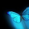 Mrsbutterfly
