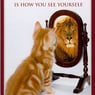 Xlionkingx