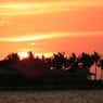 Yolanda09