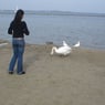 priscilla23