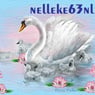 nelleke63nl