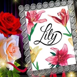 image of LilyRoos