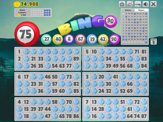 Bingo 90 screenshot