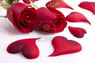 gineke123