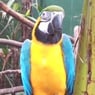 jagertje30