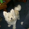 catherina