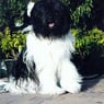 Lady230508