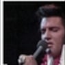 rogier1965