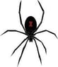 blackwidownl