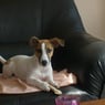 laddy2