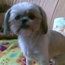 suzannew1