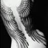 AngelC