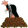 dd25