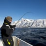 Visfanaat