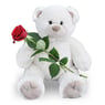 toos45