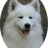 huskamoa