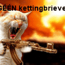stekeltje48