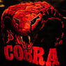 TheCobra1969