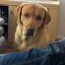 zoemzoem