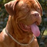 miep74