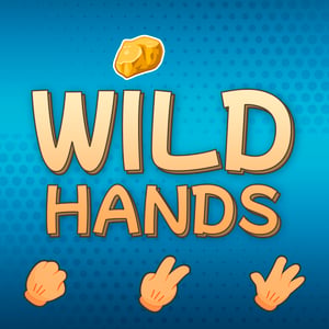 Vriendschappelijke wedstrijden in Wild Hands image