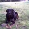 marga2008