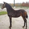 mirjam9