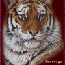 willeke28