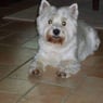 monty119