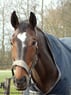 mieke2004