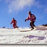 Skimaat