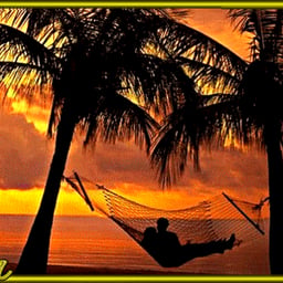 image of sunshine00