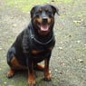 nathalie82