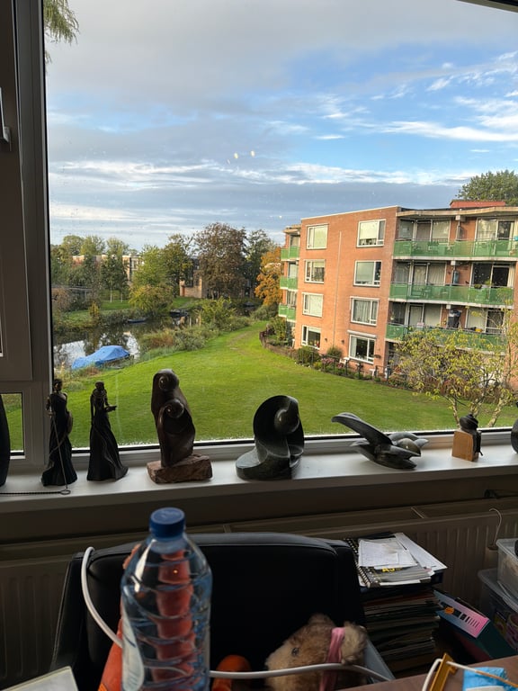 Uitzicht
