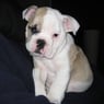 Mrsfluffy