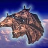 cavallo