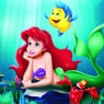 Arielnl
