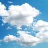 wolkjuhhh