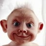 Kees61nl