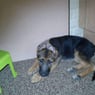 leah2010