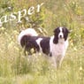 Buster41