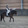 Diego13122006