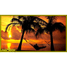 sunshine00