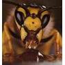 queenbee