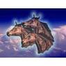 cavallo